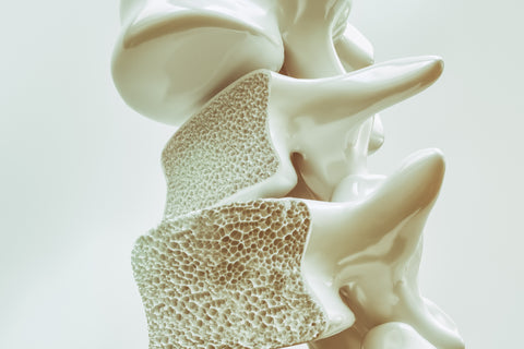 Collagen For Bones